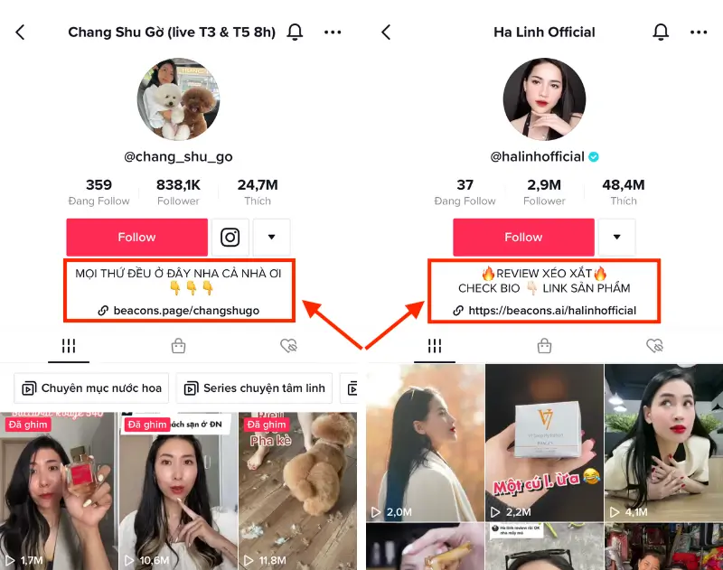 Tại sao bạn cần gắn link trên TikTok?