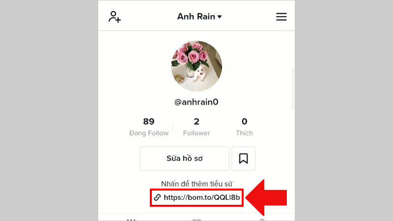 Gắn link trong tiểu sử (bio)