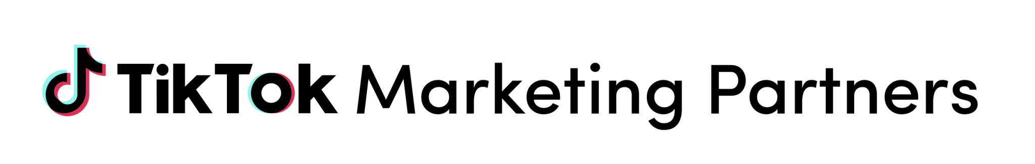 TikTok Marketing Partner