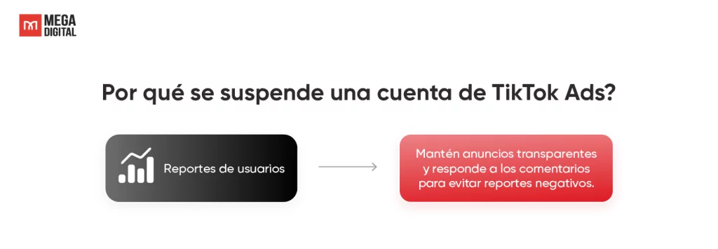 Reportes de usuarios